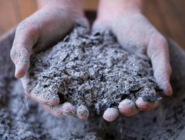 Fertilizante para plantas de semillero - qué elegir y cómo alimentar a las plantas