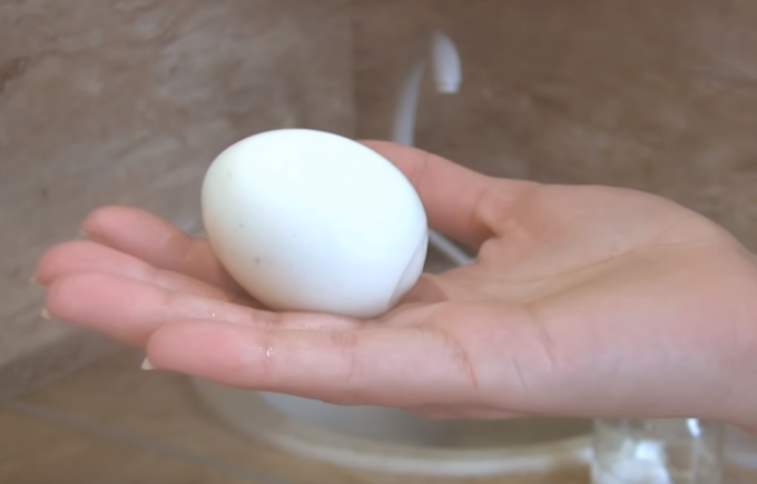 Todo el mundo quiere comer un huevo al Gorny perfecta! / Fuente de la foto: youtube.com/channel/UCagplR5T275T6em4AQOYNbQ