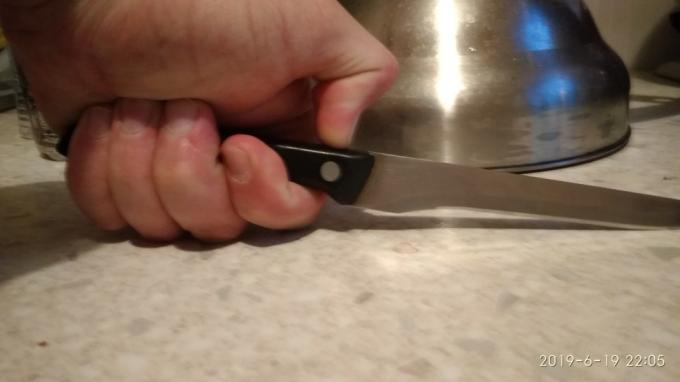 ¿Cómo elegir un cuchillo de cocina?