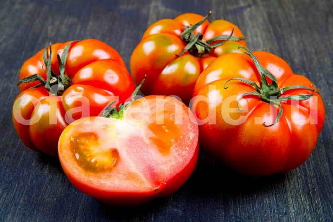 Para los tomates rosados ​​por rápidamente