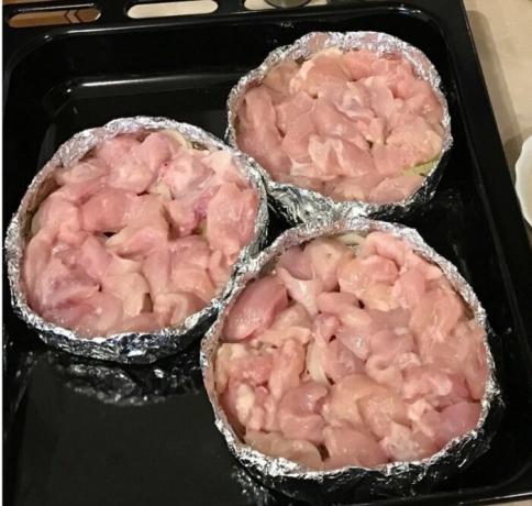 Suculento plato de pechuga de pollo, que intentó, animales domésticos requieren suplementos