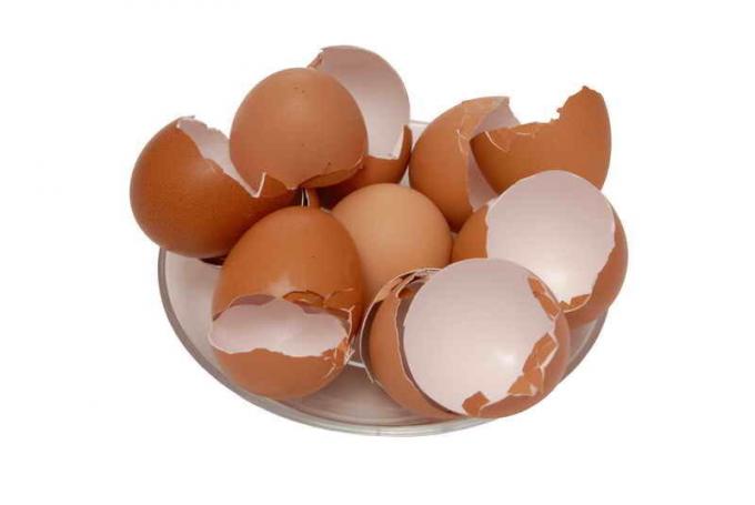 Cáscara de huevo como una preparación superior. Ilustración para un artículo se utiliza para una licencia estándar © ofazende.ru
