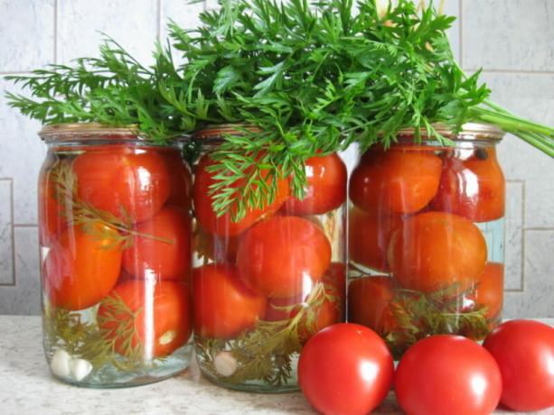 tomates enlatados con hojas de la zanahoria tienen un sabor inusual. Ilustración para un artículo se utiliza para una licencia estándar © ofazende.ru