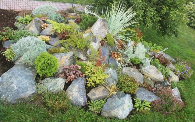 Alpine colina: una descripción paso a paso de cómo hacer un jardín de rocas con sus propias manos