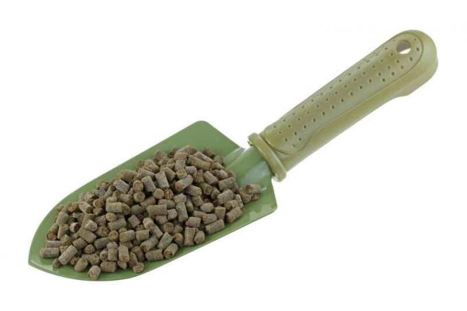 8 fertilizante útil para una buena cosecha de pepinos
