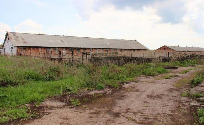 ¿Por qué la gente en las zonas rurales se niegan a vacas y cabras mantenimiento. He ido al pueblo y compartir lo que vieron