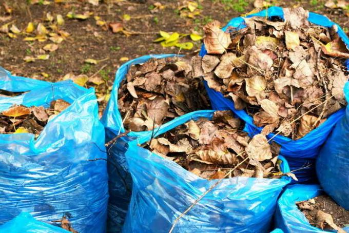 Compost en bolsas de hojas caídas. Ilustración para un artículo se utiliza para una licencia estándar © ofazende.ru