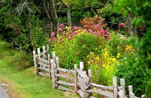 Rústico jardín: el bien y la belleza sin mucha molestia