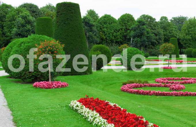 Jardín con elementos repetidos. Ilustración para un artículo se utiliza para una licencia estándar © ofazende.ru