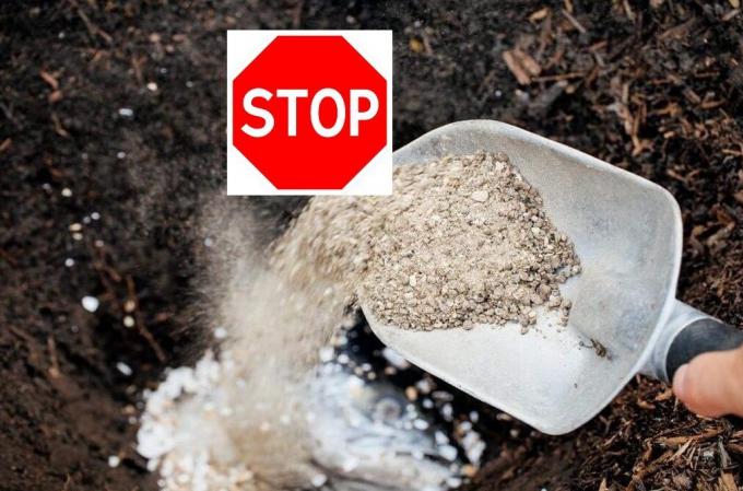 ¿Por qué me negaba a usar el superfosfato en su jardín y cómo puede ser peligroso