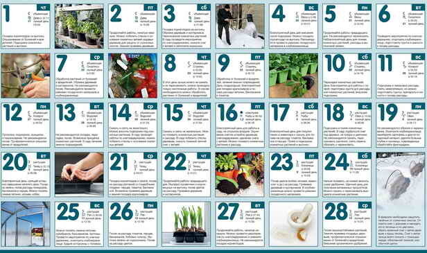 Calendario jardinero