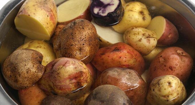 Tratar durante la maceración para mezclar diferentes variedades de patatas.