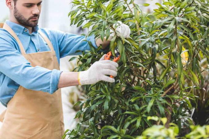 El trabajo en el jardín, en septiembre