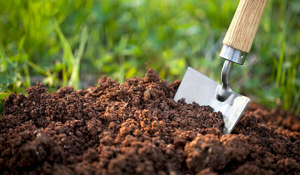 Determinar independientemente del tipo de suelo en el jardín