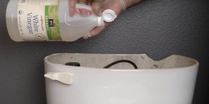 Llene el vinagre en la taza del baño para matar todas las bacterias. 