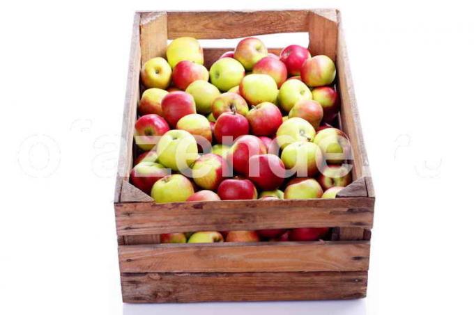 Manteniendo las manzanas. Ilustración para un artículo se utiliza para una licencia estándar © ofazende.ru