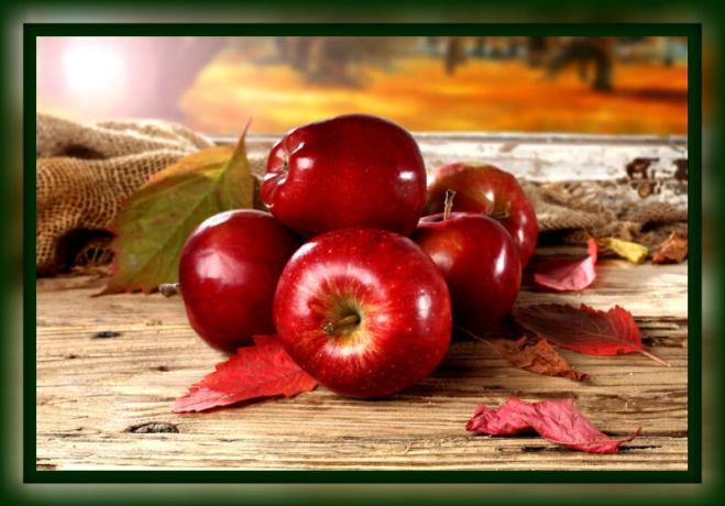 Cómo mantener las manzanas frescas para el invierno en casa