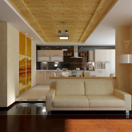 Cocina-sala de estar con barra de bar (59 fotos), diseño de bricolaje: instrucciones, lecciones de fotos y videos, precio