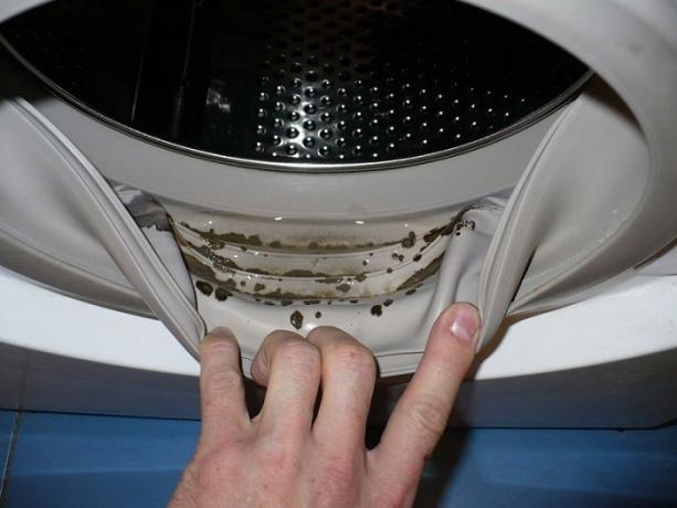 ¿Cómo deshacerse de moho y olor a humedad en la lavadora