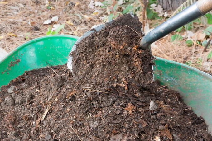 Fertilizantes otoño en el sitio