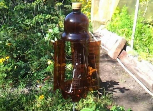 Uso útil de botellas de plástico en el jardín (Parte 2)