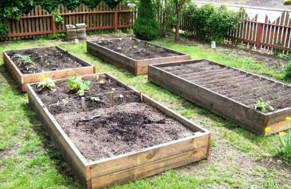 ¿Cómo mejorar el suelo de arcilla en el jardín sin grandes inversiones financieras. mi experiencia